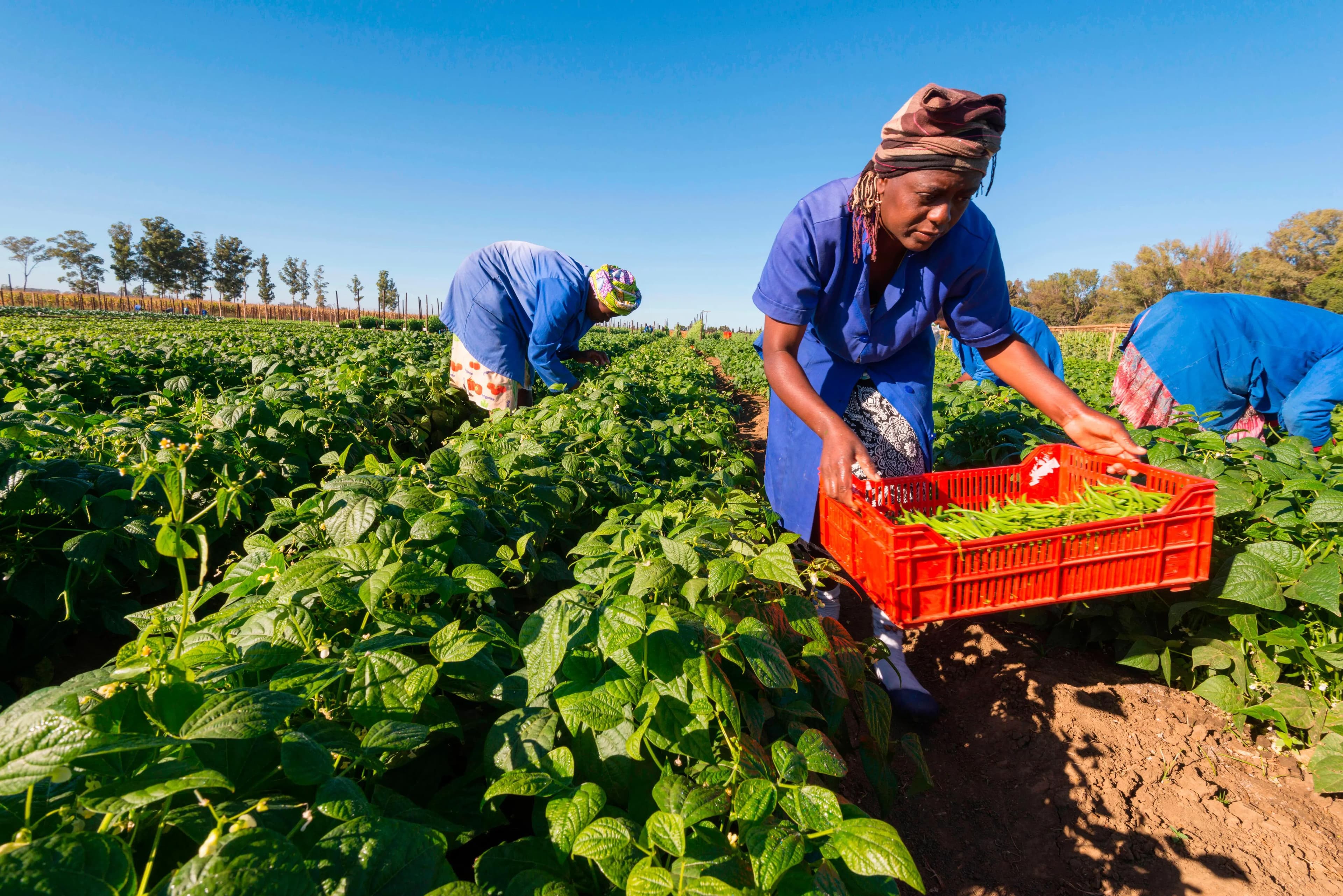 Bioture Agriculture & Food