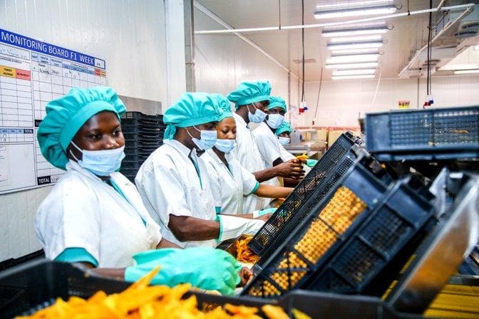Food processing that brings harvests closer to consumers.